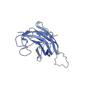 42246_8uh4_D_v1-0
Cryo-EM structure of Maize Streak Virus (MSV) - single head Geminivirus