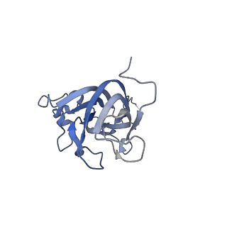 42246_8uh4_E_v1-0
Cryo-EM structure of Maize Streak Virus (MSV) - single head Geminivirus