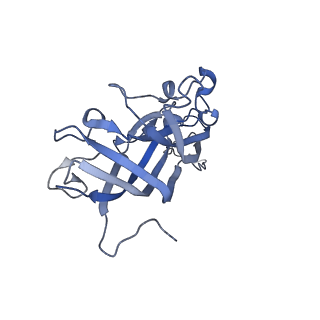 42246_8uh4_F_v1-0
Cryo-EM structure of Maize Streak Virus (MSV) - single head Geminivirus