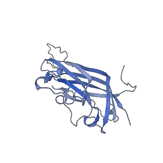 42246_8uh4_H_v1-0
Cryo-EM structure of Maize Streak Virus (MSV) - single head Geminivirus