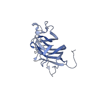 42246_8uh4_I_v1-0
Cryo-EM structure of Maize Streak Virus (MSV) - single head Geminivirus