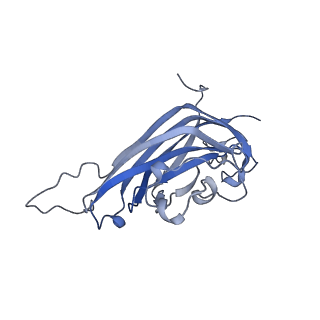 42246_8uh4_K_v1-0
Cryo-EM structure of Maize Streak Virus (MSV) - single head Geminivirus