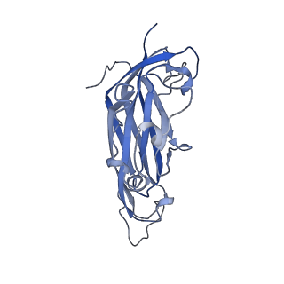 42246_8uh4_M_v1-0
Cryo-EM structure of Maize Streak Virus (MSV) - single head Geminivirus