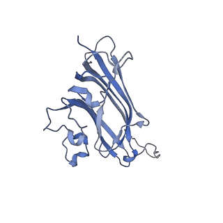 42246_8uh4_N_v1-0
Cryo-EM structure of Maize Streak Virus (MSV) - single head Geminivirus