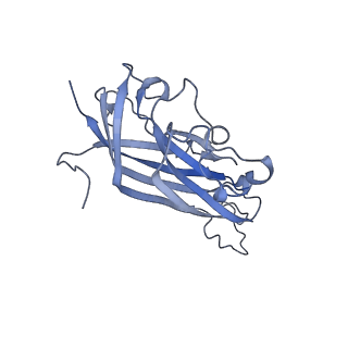 42246_8uh4_P_v1-0
Cryo-EM structure of Maize Streak Virus (MSV) - single head Geminivirus