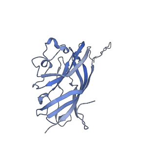 42246_8uh4_R_v1-0
Cryo-EM structure of Maize Streak Virus (MSV) - single head Geminivirus