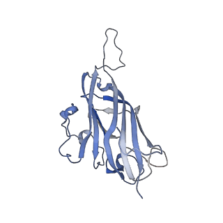 42246_8uh4_V_v1-0
Cryo-EM structure of Maize Streak Virus (MSV) - single head Geminivirus