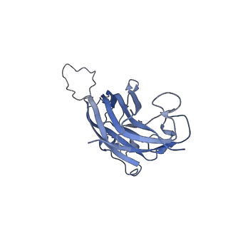 42246_8uh4_W_v1-0
Cryo-EM structure of Maize Streak Virus (MSV) - single head Geminivirus