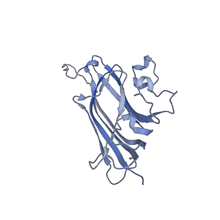 42246_8uh4_Y_v1-0
Cryo-EM structure of Maize Streak Virus (MSV) - single head Geminivirus