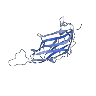 42246_8uh4_a_v1-0
Cryo-EM structure of Maize Streak Virus (MSV) - single head Geminivirus