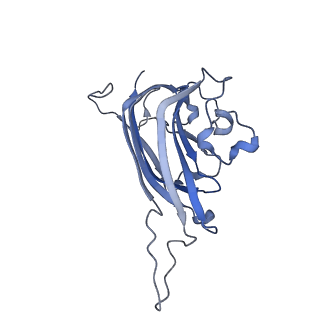 42246_8uh4_c_v1-0
Cryo-EM structure of Maize Streak Virus (MSV) - single head Geminivirus
