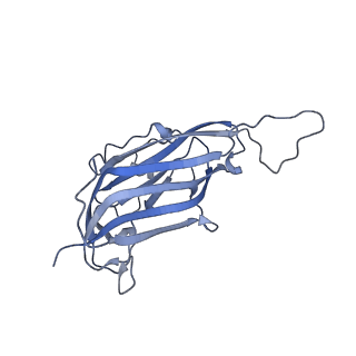 42246_8uh4_d_v1-0
Cryo-EM structure of Maize Streak Virus (MSV) - single head Geminivirus