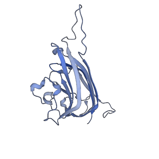 42246_8uh4_f_v1-0
Cryo-EM structure of Maize Streak Virus (MSV) - single head Geminivirus