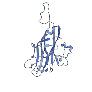 42246_8uh4_g_v1-0
Cryo-EM structure of Maize Streak Virus (MSV) - single head Geminivirus