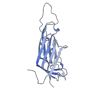42246_8uh4_h_v1-0
Cryo-EM structure of Maize Streak Virus (MSV) - single head Geminivirus