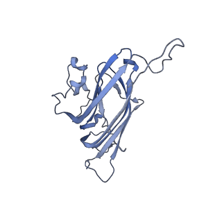 42246_8uh4_i_v1-0
Cryo-EM structure of Maize Streak Virus (MSV) - single head Geminivirus