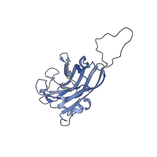 42246_8uh4_k_v1-0
Cryo-EM structure of Maize Streak Virus (MSV) - single head Geminivirus