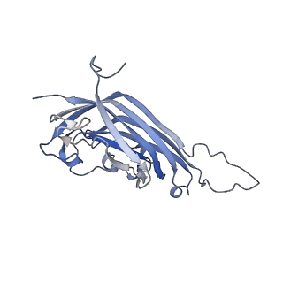 42246_8uh4_m_v1-0
Cryo-EM structure of Maize Streak Virus (MSV) - single head Geminivirus
