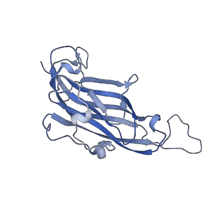 42246_8uh4_n_v1-0
Cryo-EM structure of Maize Streak Virus (MSV) - single head Geminivirus