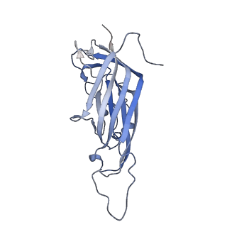 42246_8uh4_o_v1-0
Cryo-EM structure of Maize Streak Virus (MSV) - single head Geminivirus