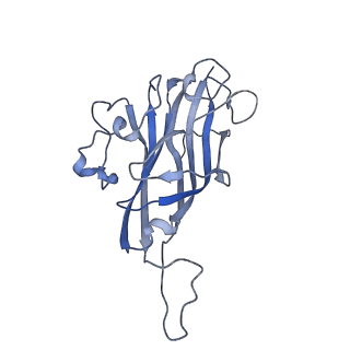 42246_8uh4_p_v1-0
Cryo-EM structure of Maize Streak Virus (MSV) - single head Geminivirus