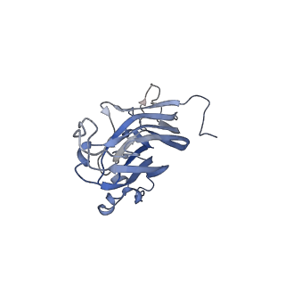 42246_8uh4_u_v1-0
Cryo-EM structure of Maize Streak Virus (MSV) - single head Geminivirus