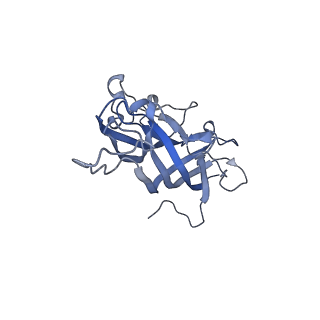 42246_8uh4_v_v1-0
Cryo-EM structure of Maize Streak Virus (MSV) - single head Geminivirus