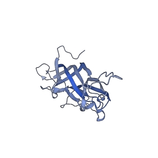42246_8uh4_y_v1-0
Cryo-EM structure of Maize Streak Virus (MSV) - single head Geminivirus
