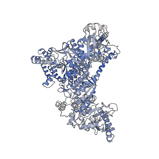 42267_8uha_A_v1-0
Structure of paused transcription complex Pol II-DSIF-NELF - tilted