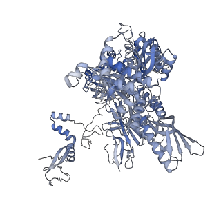 42267_8uha_B_v1-0
Structure of paused transcription complex Pol II-DSIF-NELF - tilted