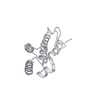 42267_8uha_D_v1-0
Structure of paused transcription complex Pol II-DSIF-NELF - tilted