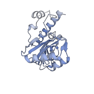 42267_8uha_E_v1-0
Structure of paused transcription complex Pol II-DSIF-NELF - tilted