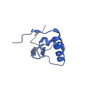 42267_8uha_F_v1-0
Structure of paused transcription complex Pol II-DSIF-NELF - tilted