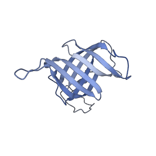 42267_8uha_H_v1-0
Structure of paused transcription complex Pol II-DSIF-NELF - tilted