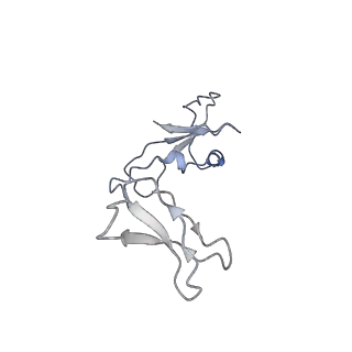 42267_8uha_I_v1-0
Structure of paused transcription complex Pol II-DSIF-NELF - tilted