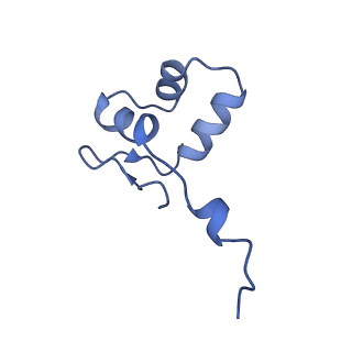 42267_8uha_J_v1-0
Structure of paused transcription complex Pol II-DSIF-NELF - tilted