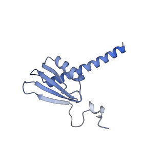 42267_8uha_K_v1-0
Structure of paused transcription complex Pol II-DSIF-NELF - tilted
