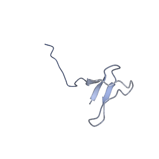 42267_8uha_L_v1-0
Structure of paused transcription complex Pol II-DSIF-NELF - tilted