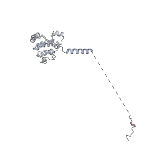 42267_8uha_U_v1-0
Structure of paused transcription complex Pol II-DSIF-NELF - tilted