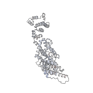 42267_8uha_V_v1-0
Structure of paused transcription complex Pol II-DSIF-NELF - tilted