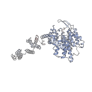 42267_8uha_W_v1-0
Structure of paused transcription complex Pol II-DSIF-NELF - tilted