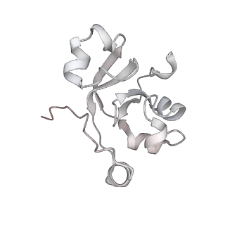 42267_8uha_Y_v1-0
Structure of paused transcription complex Pol II-DSIF-NELF - tilted