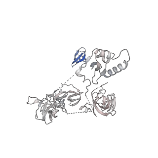 42267_8uha_Z_v1-0
Structure of paused transcription complex Pol II-DSIF-NELF - tilted