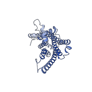 42268_8uhb_A_v1-0
Cryo-EM Structure of the Ro5256390-bound hTA1-Gs heterotrimer signaling complex