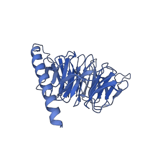 42268_8uhb_B_v1-0
Cryo-EM Structure of the Ro5256390-bound hTA1-Gs heterotrimer signaling complex