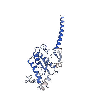 42268_8uhb_C_v1-0
Cryo-EM Structure of the Ro5256390-bound hTA1-Gs heterotrimer signaling complex