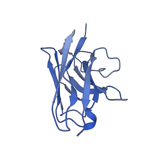 42268_8uhb_N_v1-0
Cryo-EM Structure of the Ro5256390-bound hTA1-Gs heterotrimer signaling complex