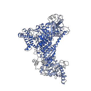42270_8uhd_A_v1-0
Structure of paused transcription complex Pol II-DSIF-NELF - post-translocated