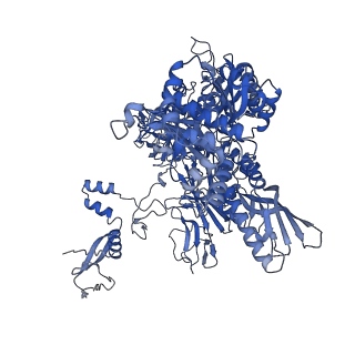 42270_8uhd_B_v1-0
Structure of paused transcription complex Pol II-DSIF-NELF - post-translocated