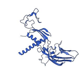 42270_8uhd_C_v1-0
Structure of paused transcription complex Pol II-DSIF-NELF - post-translocated